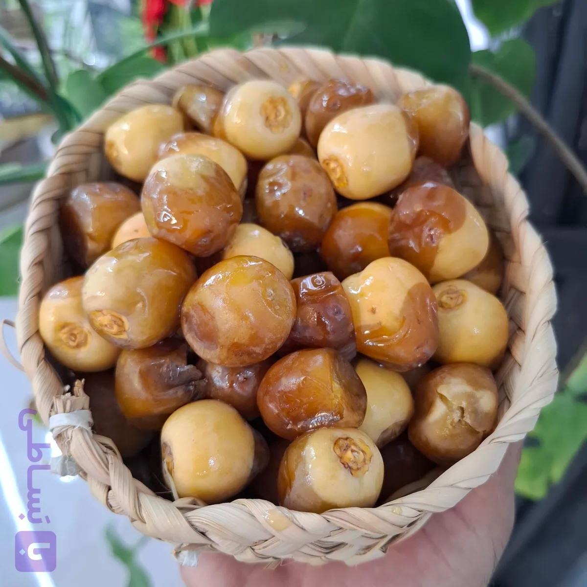 رطب برحی تازه