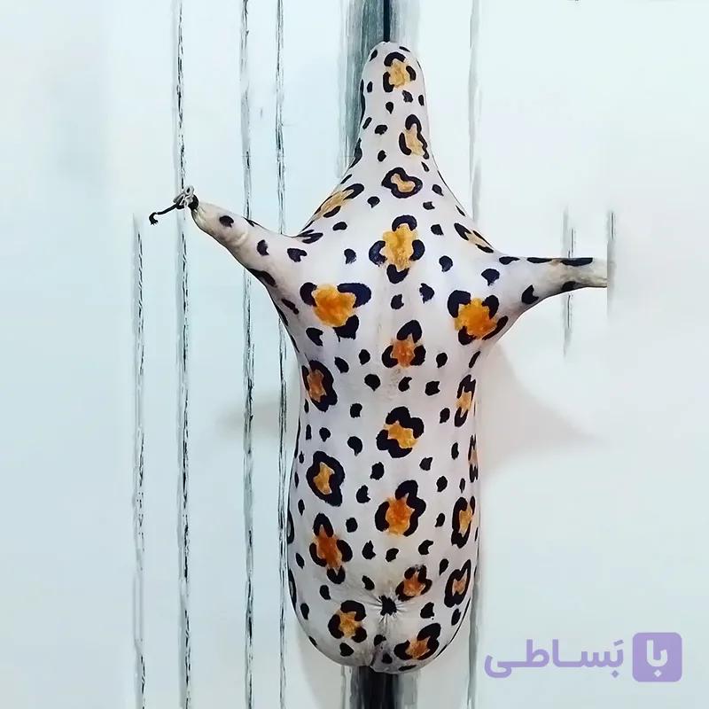 کیسه | پوست | مشک طرح دار ; نی انبان