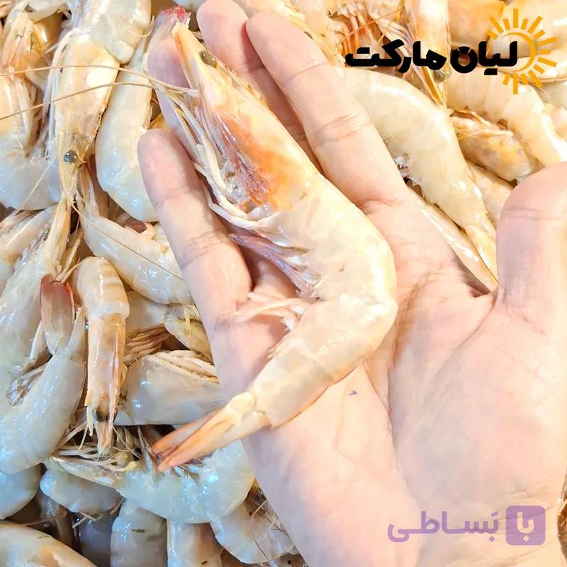 میگو سرتیز دریایی بوشهر سایز 100-120 (میگو ریز پلویی) | وزن متغیر ۱۰ تا ۳۰ کیلویی