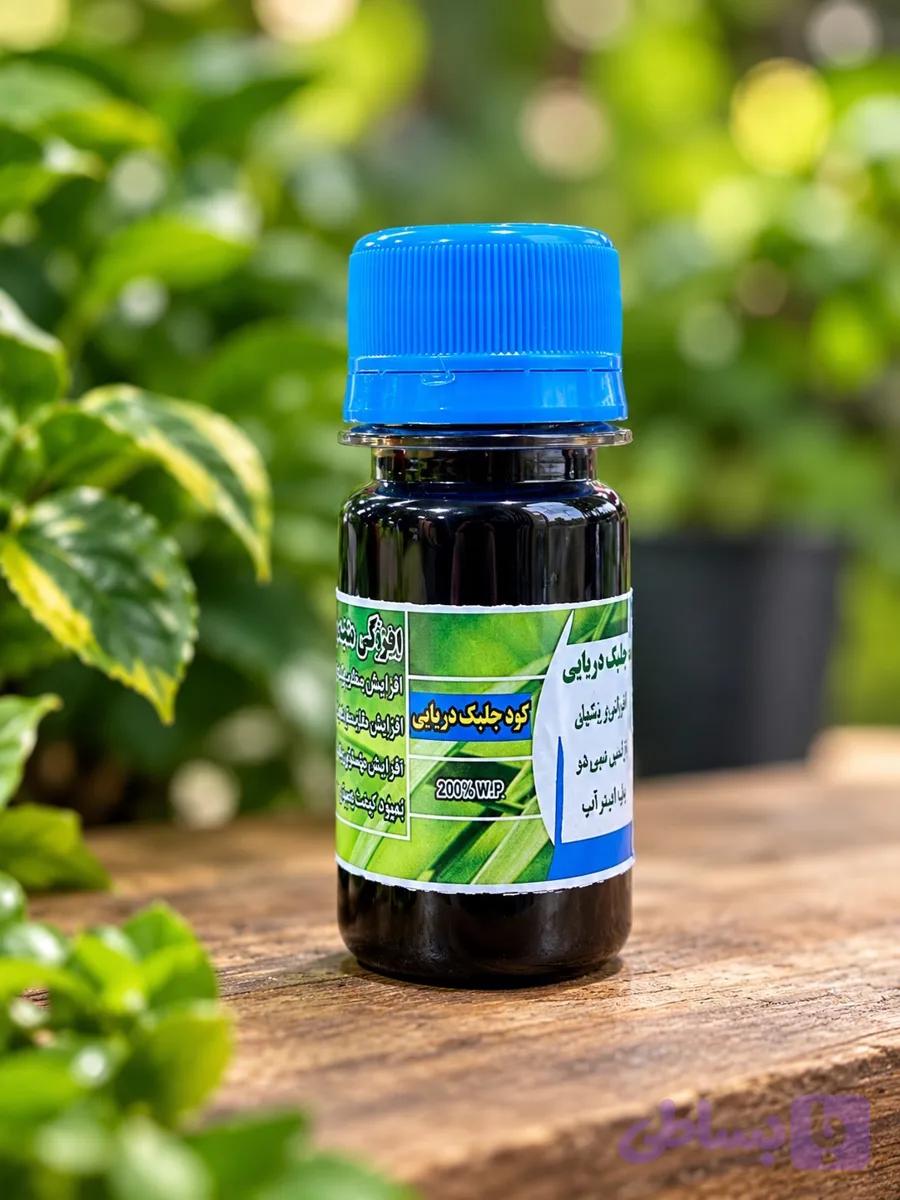 عصاره جلبک دریایی