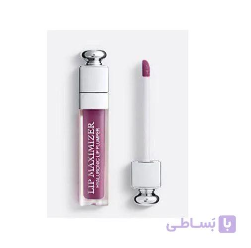 لیپ گلاس دیور Lip Maximizer شماره 06 | حجم‌دهنده و براق‌کننده لب
