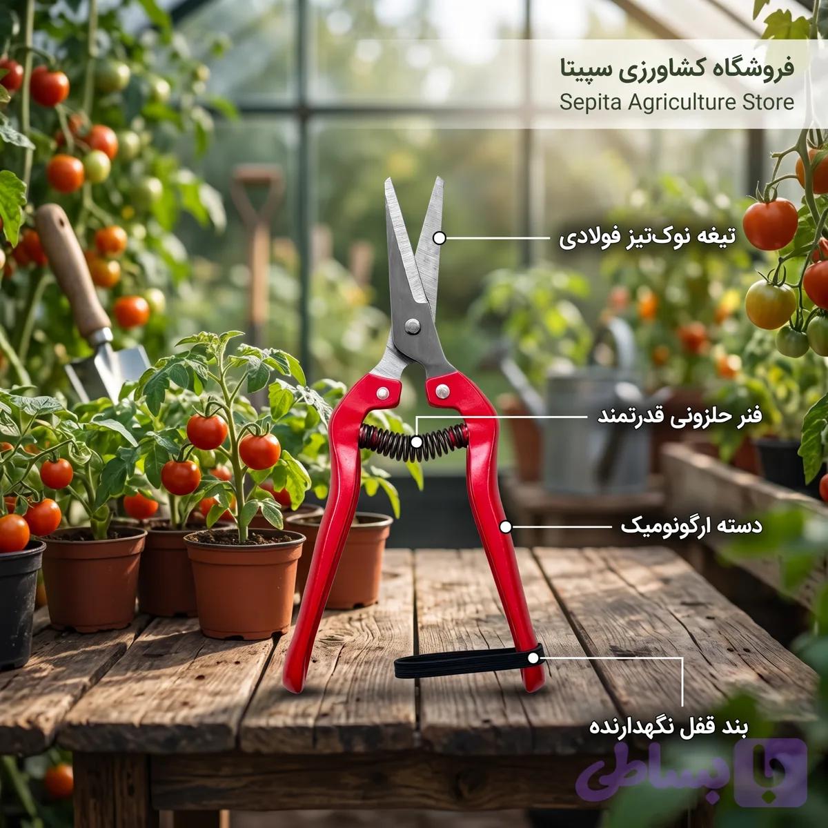 قیچی هرس باغبانی