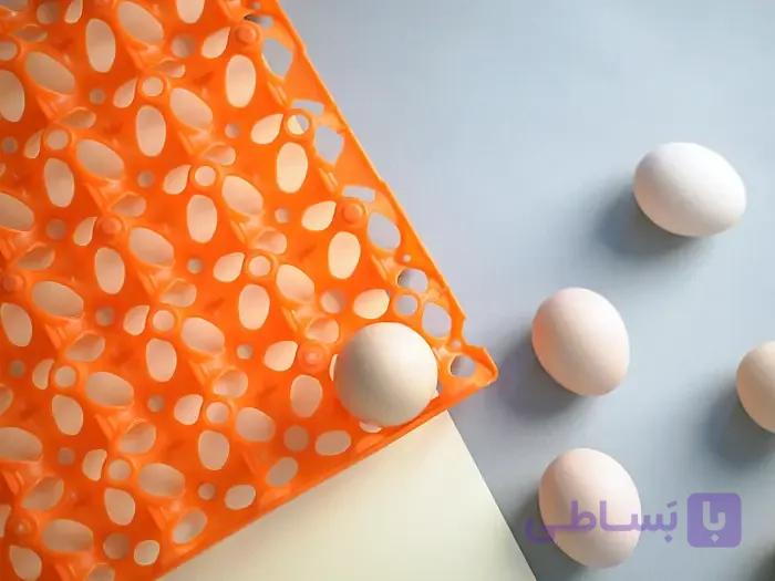 شانه حمل تخم مرغ پلاستیکی — تصویر 1