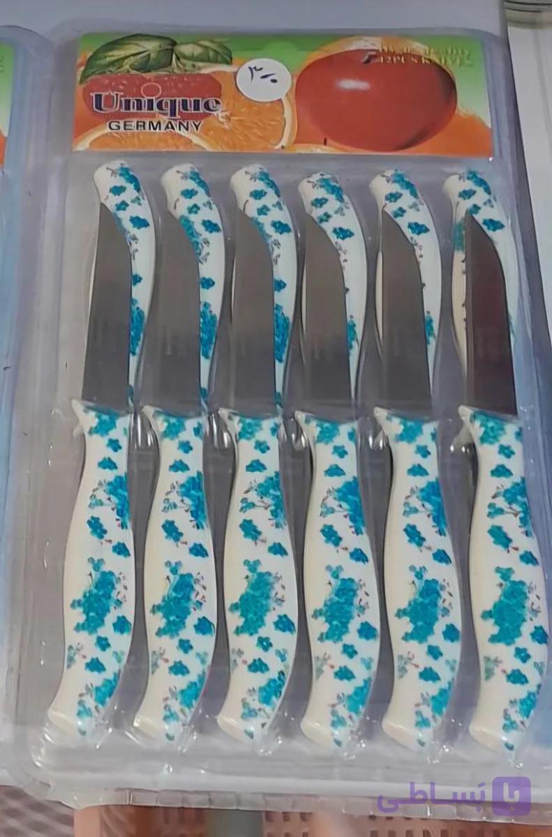 کارد میوه خوری دوازده تایی