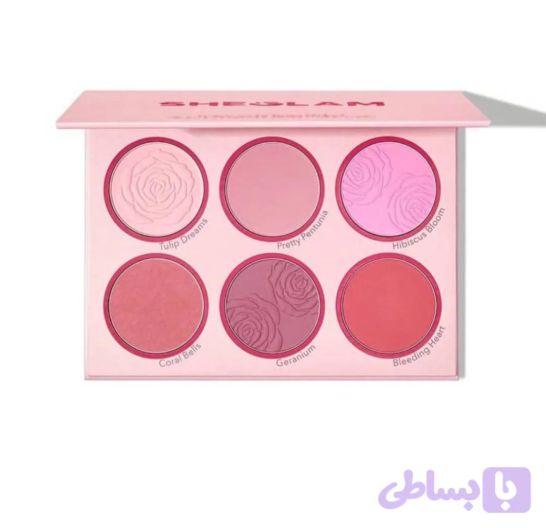 پالت رژگونه 6رنگ شیگلم Sheglam