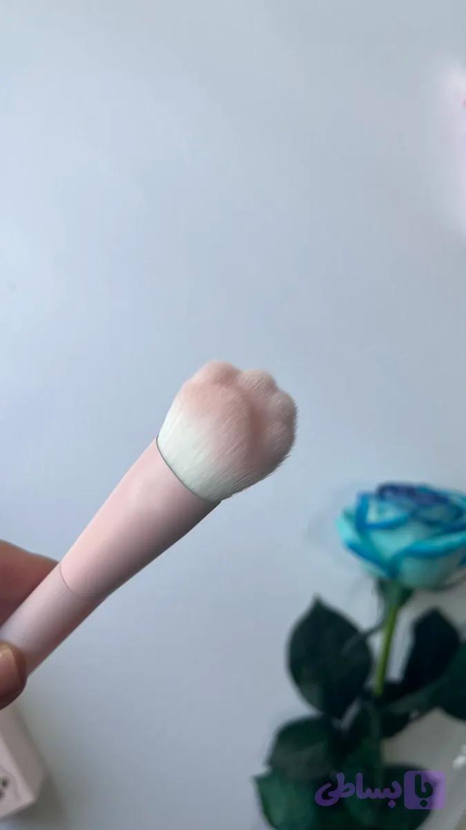 براش پنجه گربه ای