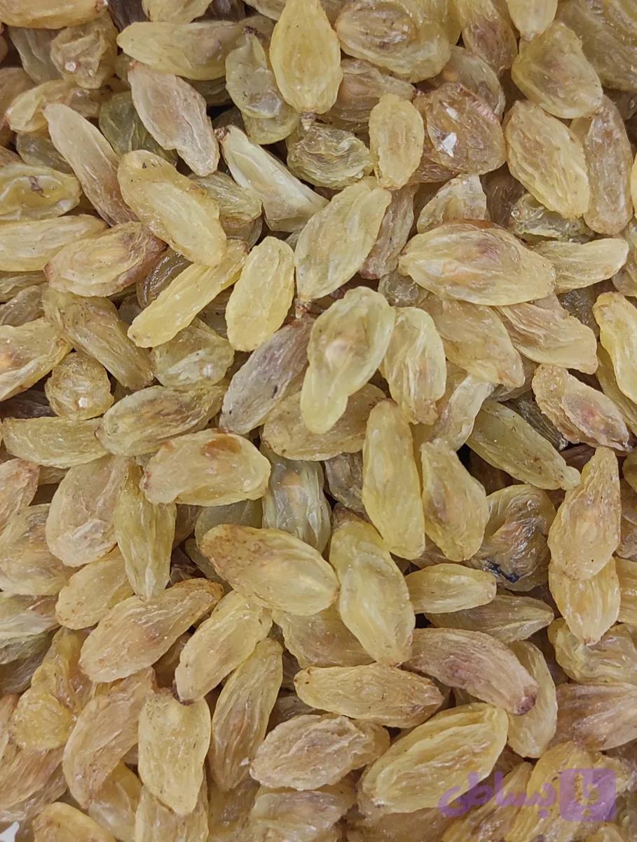 کشمش زرد کاشمر اعلا خشکبار درجه یک