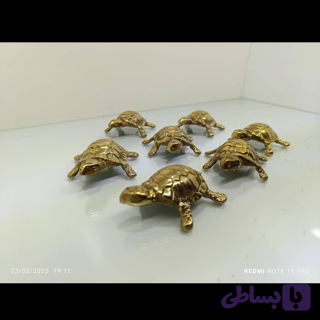 لاکپشت برنجی — تصویر 1