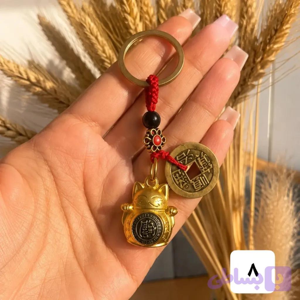 جاسوییجی گربه شانس(جاکلیدی) — تصویر 1