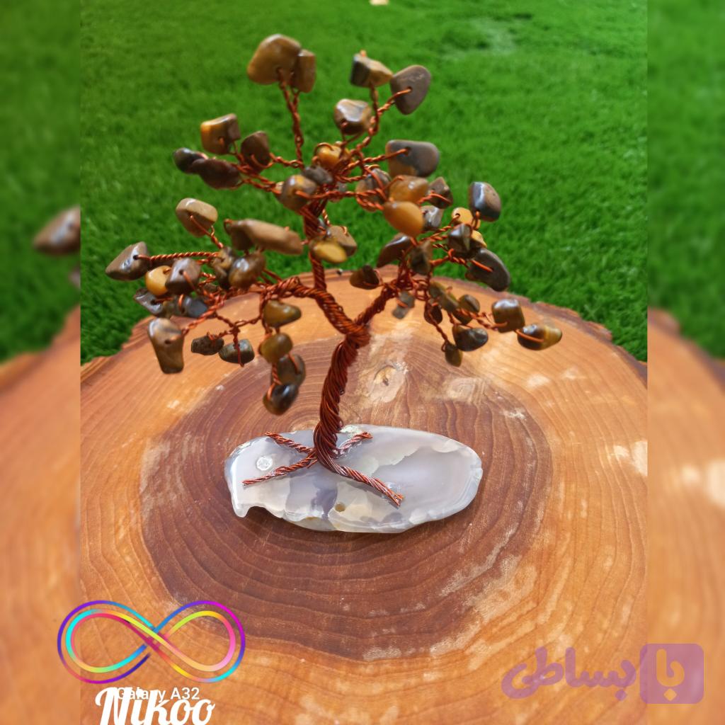 درختچه چشم ببر — تصویر 1
