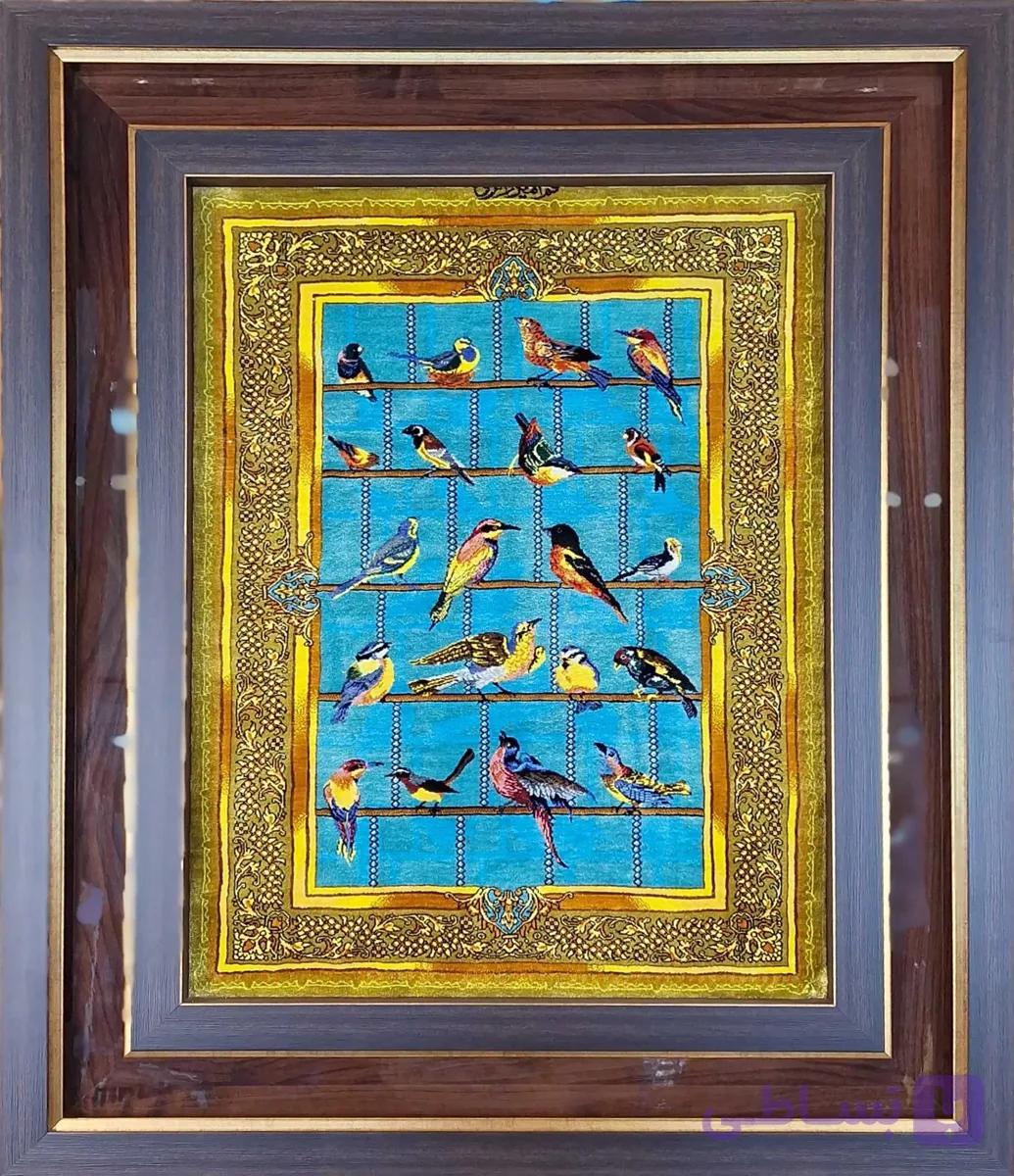 پرنده قابی زائری — تصویر 1