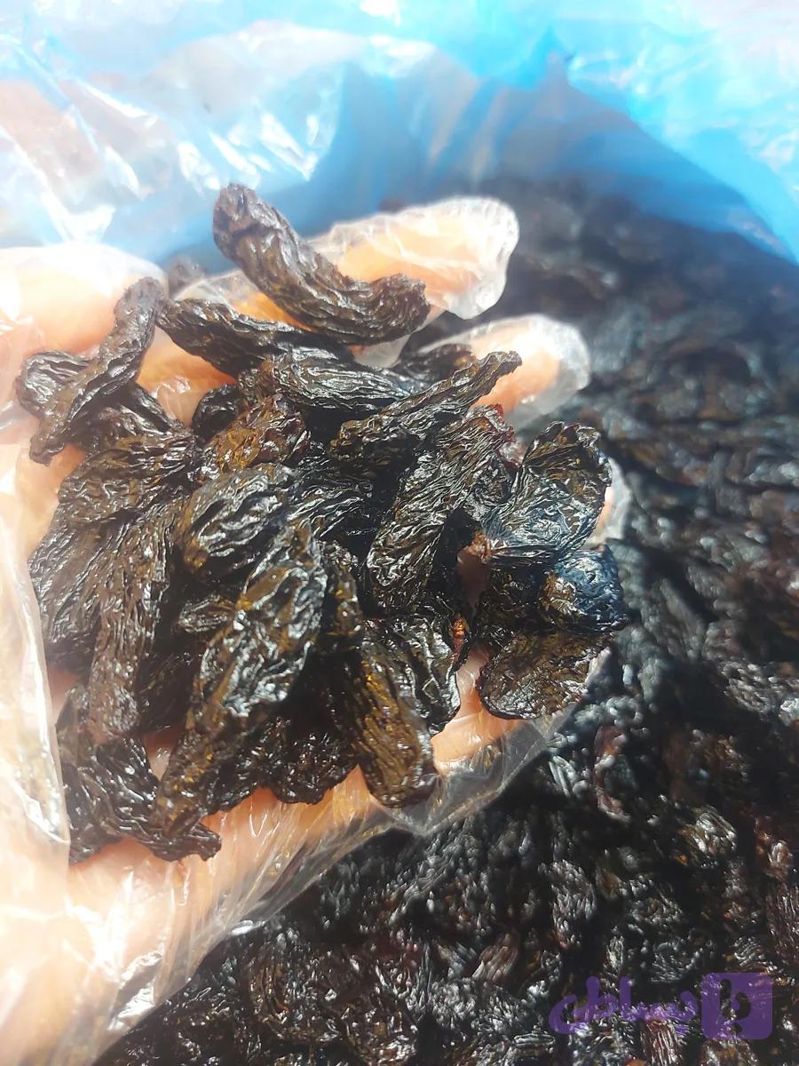 مویز زبان ماری