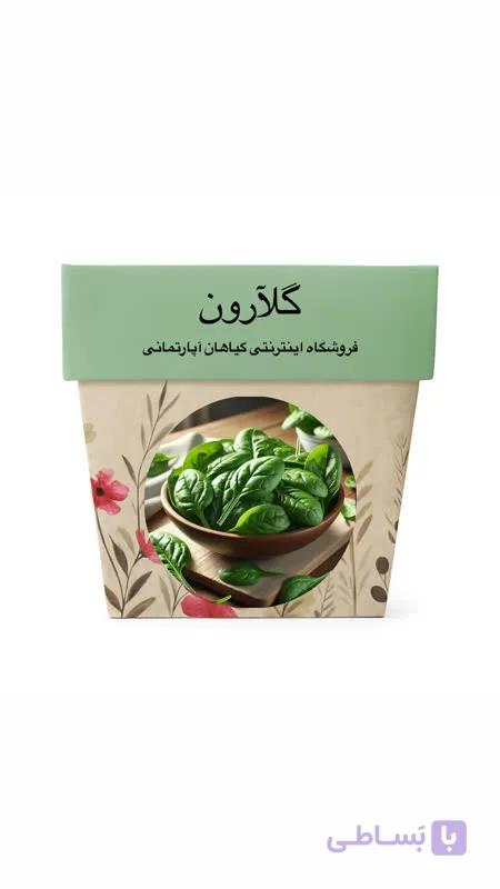 بذر اسفناج