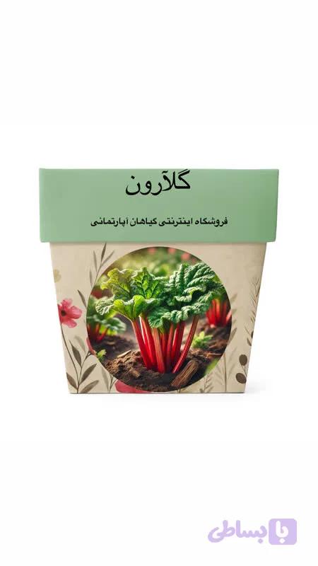 بذر ریواس