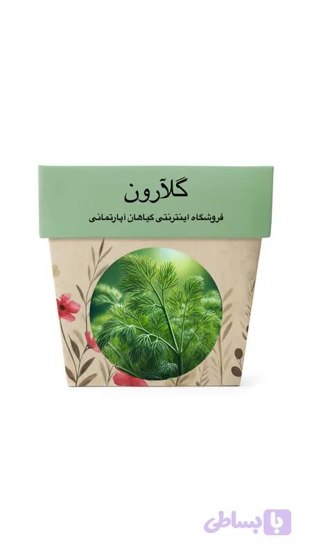 بذر شوید