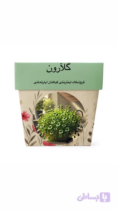بذر تره شاهی