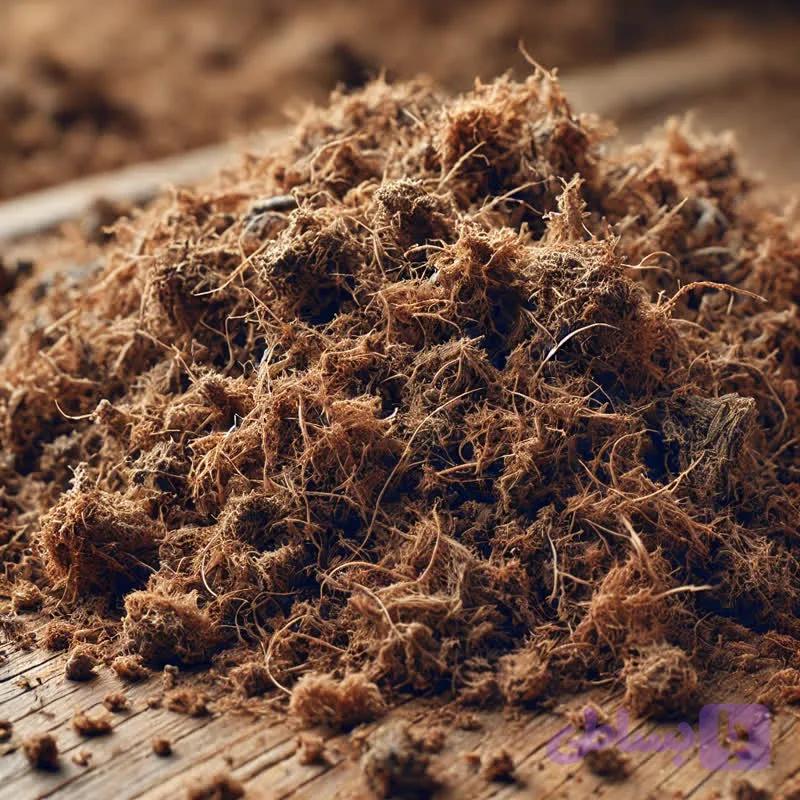 پیت ماس — تصویر 1