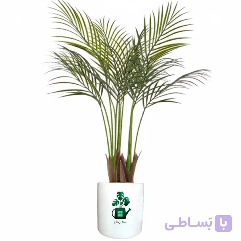 اریکا گلآرون — تصویر 1