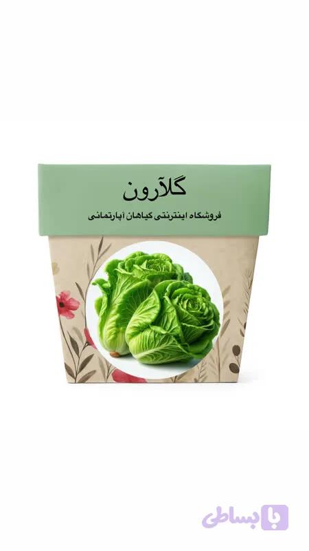 بذر کاهو