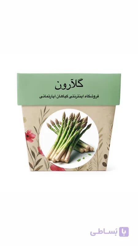 بذر مارچوبه