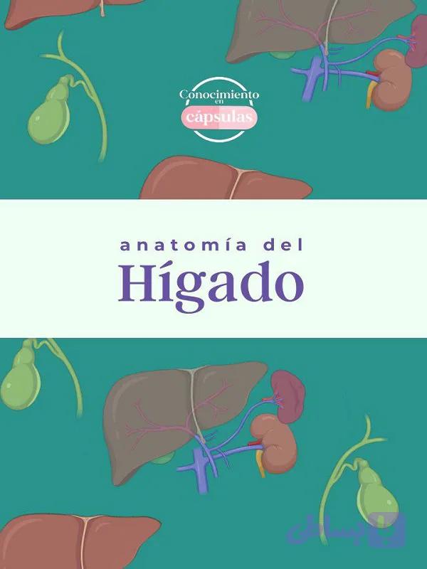 دانلود کتاب Anatomía del Hígado