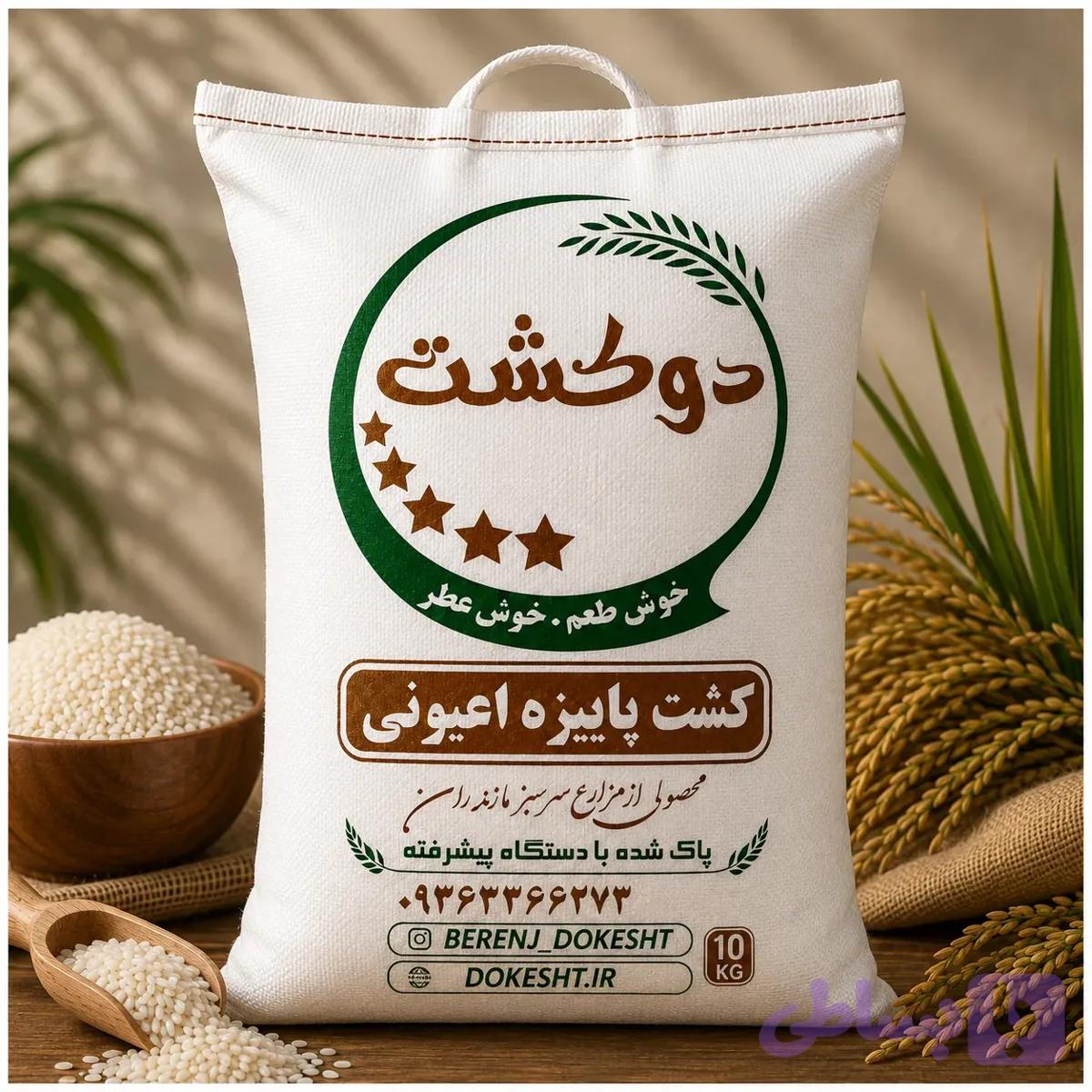 برنج کشت پاییز اعیونی خوش طعم مازندران