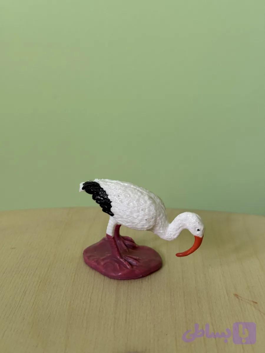 پرنده نوک دراز