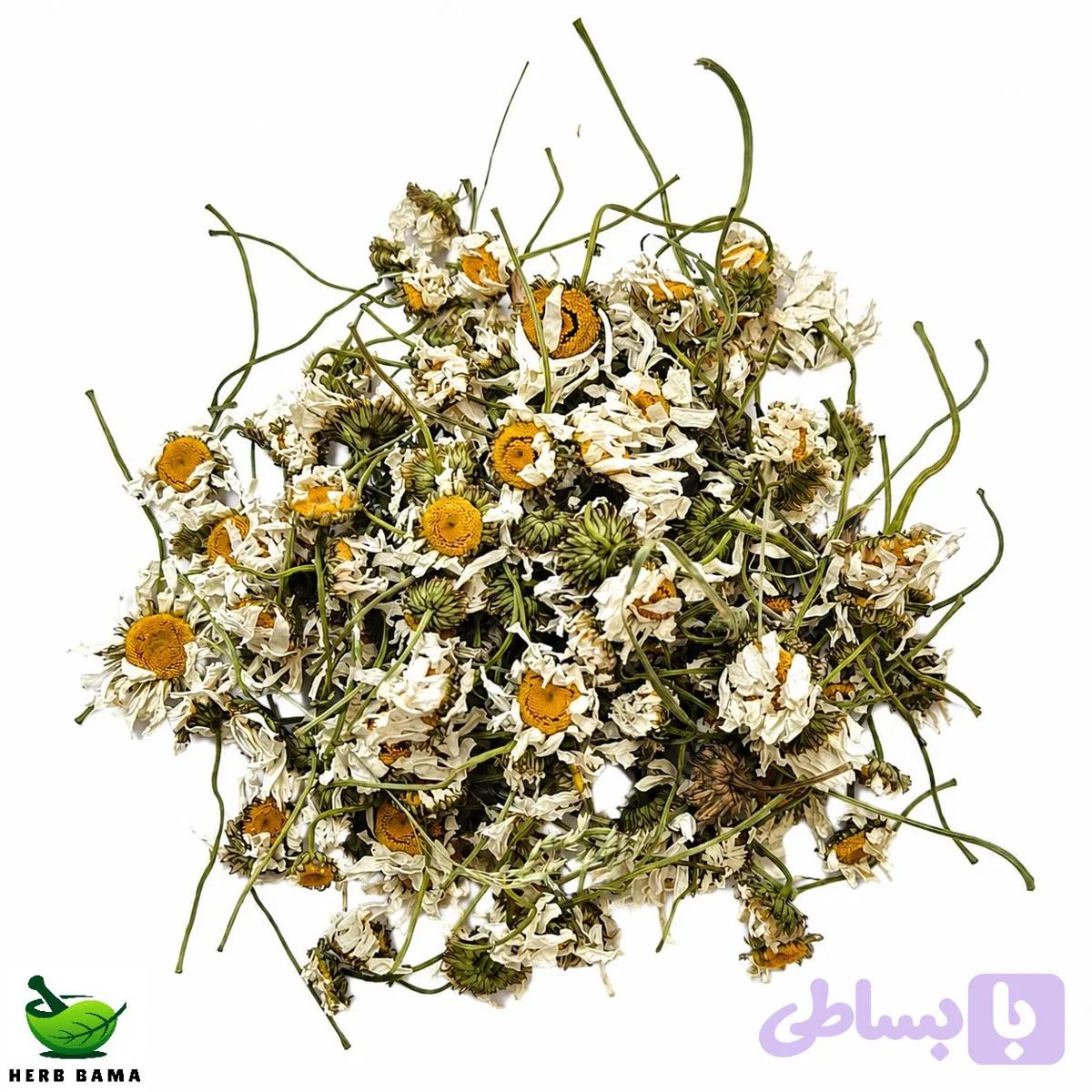 بابونه اردبیلی