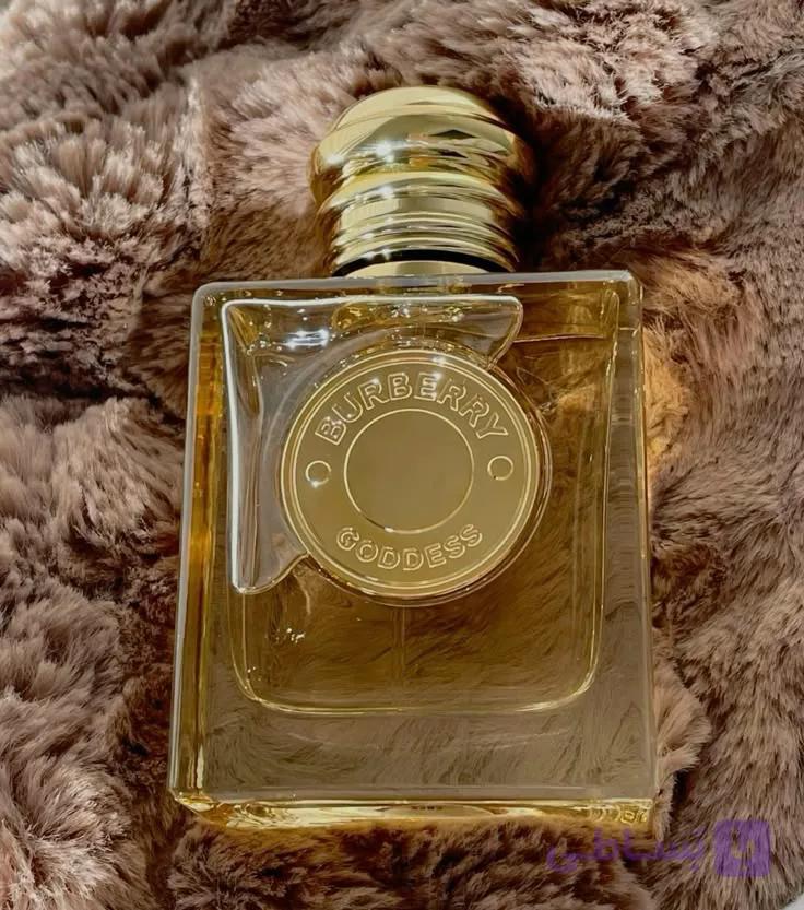 عطر باربری گادس _ (گرمی) جیوادان