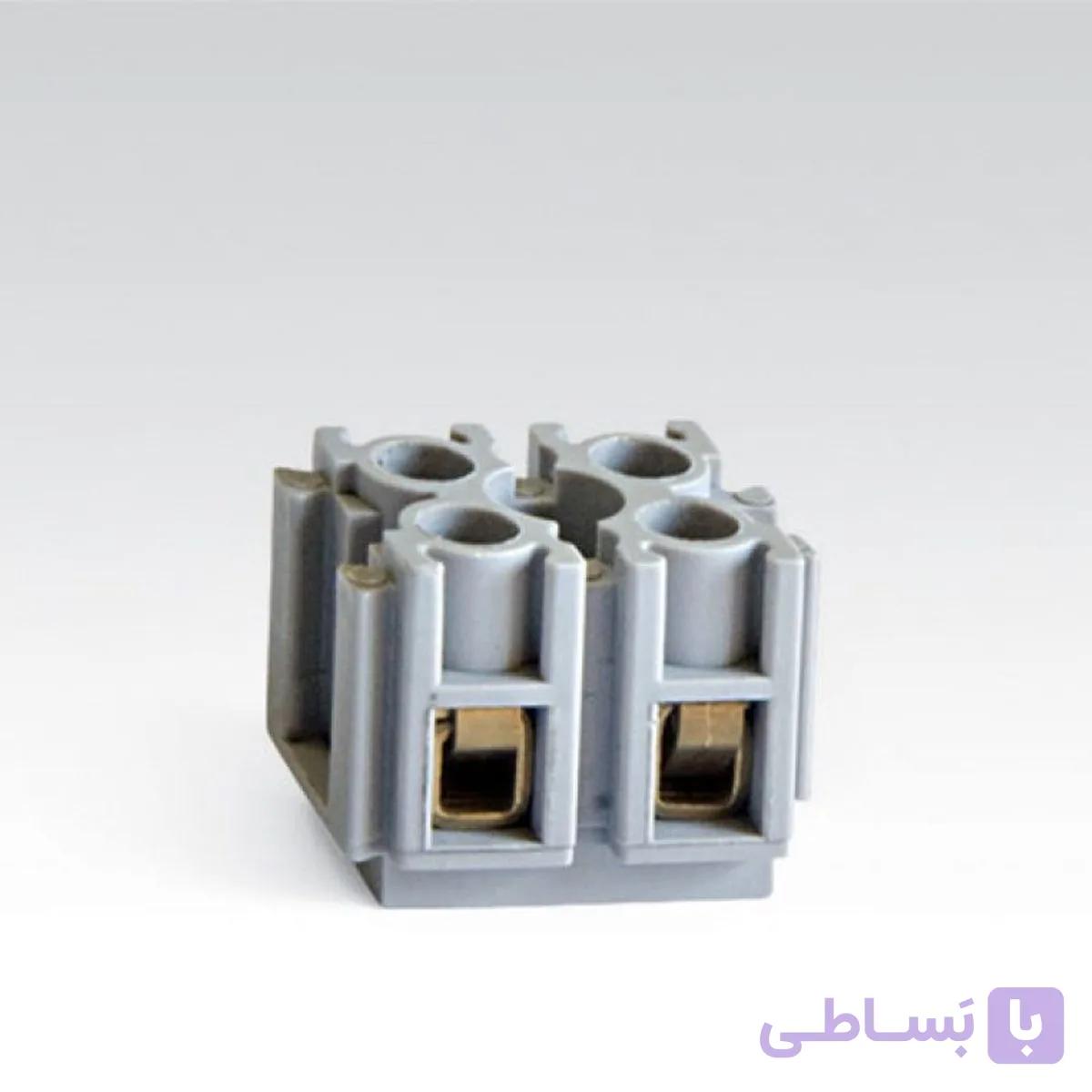ترمینال شاخه ای زوجی سایز 6 رعد الکتریک RMT (کارتنی)