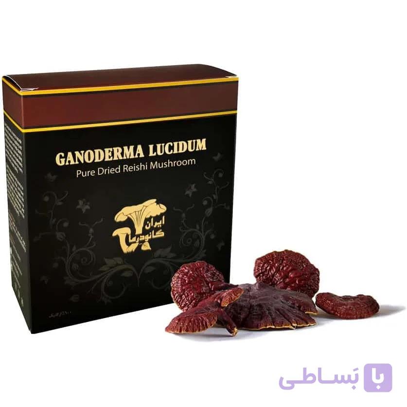 پودر قارچ گانودرما ۱۰۰ گرم طبیعی — تصویر 1