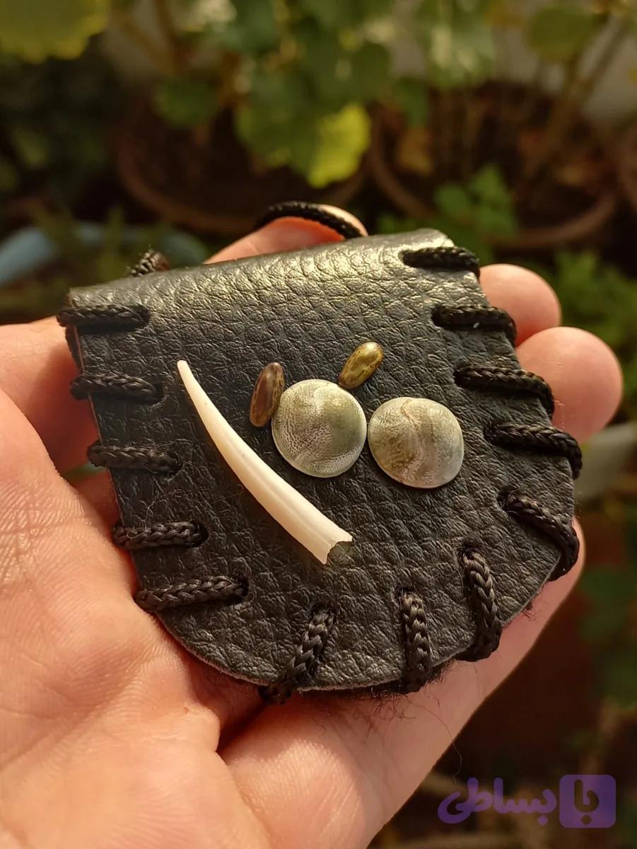 مهره مار زنگی جنگلی