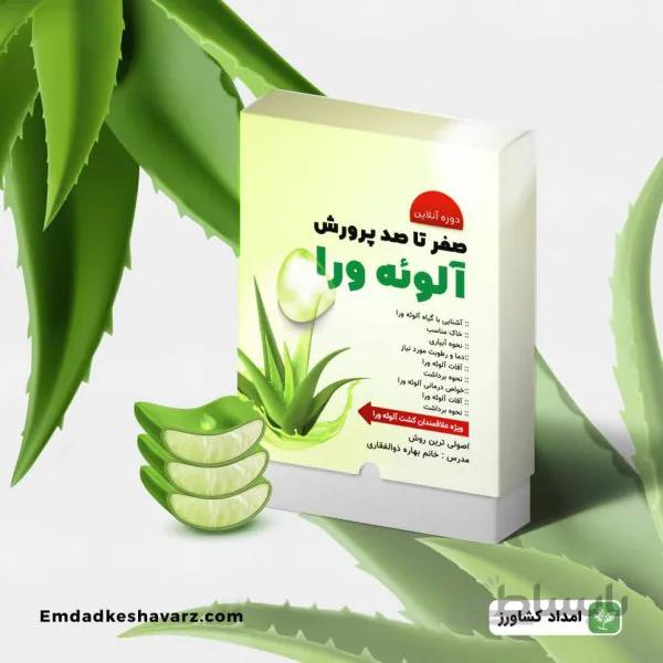 صفر تا صد پرورش آلوئه ورا