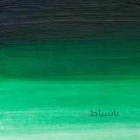 رنگ روغن آرتیست 37ml وینزور Winsor Green(Yellow Shade) (721) -10110 سری2