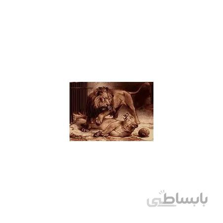 نخ و نقشه آموزشی تابلو فرش کد 17