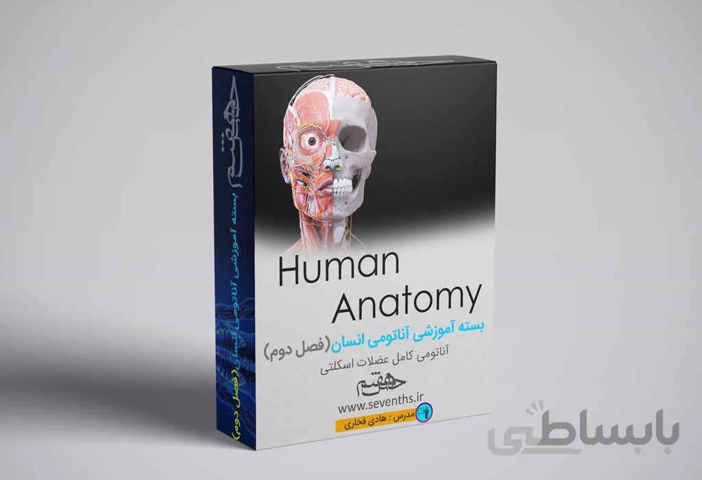 دوره مجازی آموزش آناتومی انسان (فصل دوم)