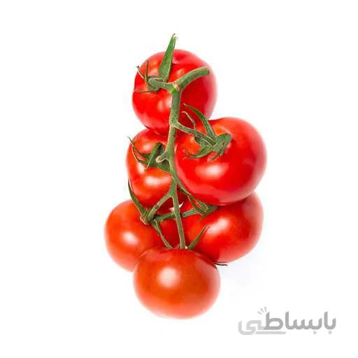 بذر گوجه فرنگی فلوریدا