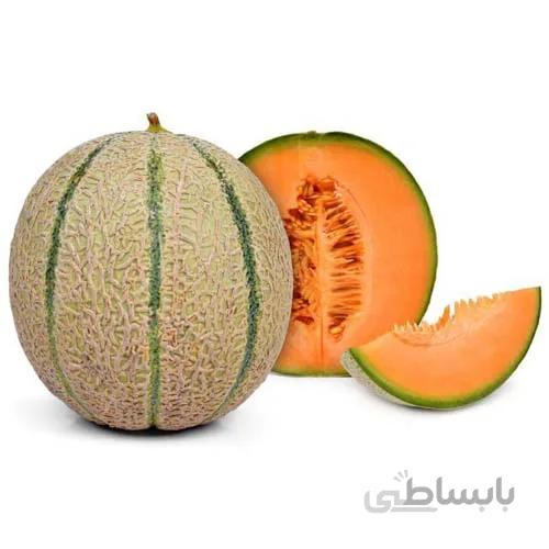 بذر طالبی سمسوری کد 880001