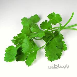 بذر سبزی گشنیز