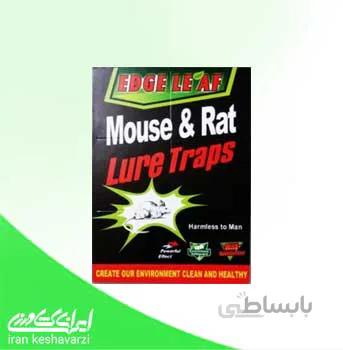 تله چسب موش کتابی
