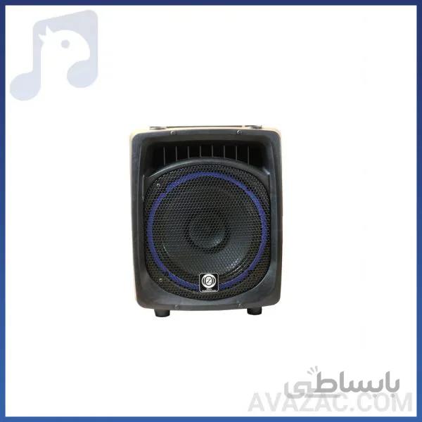 اکو همراه ۱۲ اینچ باسیم زیکو مدل Z-122
