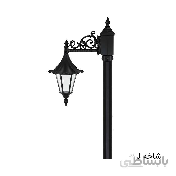تکشاخه چتری