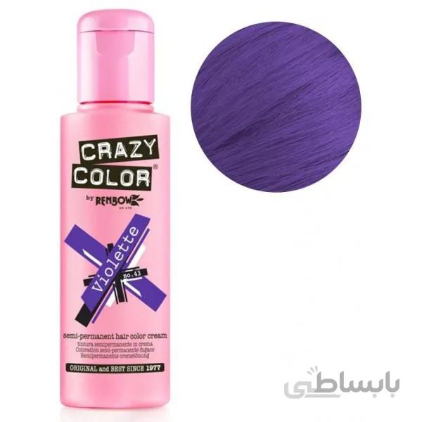 رنگ مو فانتزی کریزی کالر 100 میل مدل violette