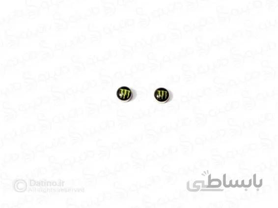 گوشواره مگنتی پنجه گرگ 11759