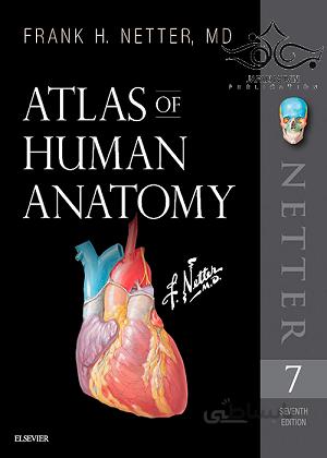 Atlas of Human Anatomy Netter Basic Science 2018 کتاب اطلس آناتومی نتر