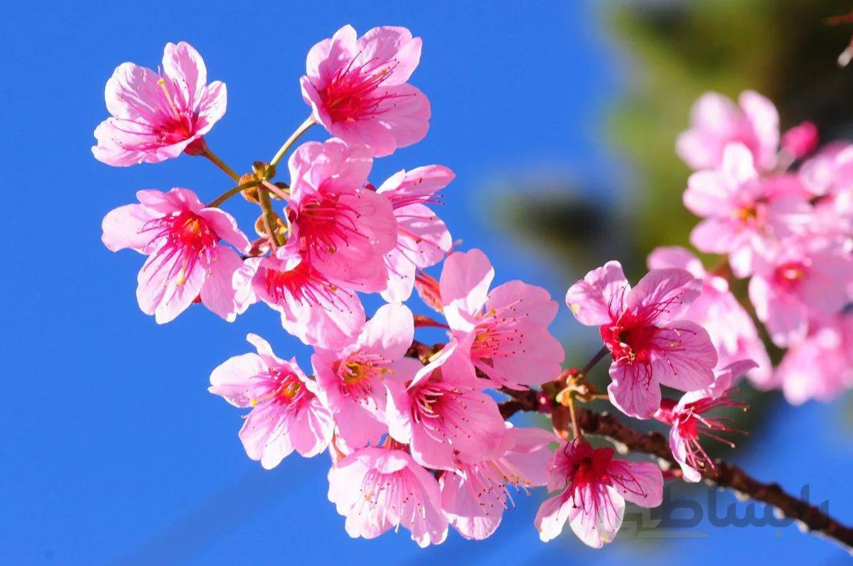 پوستر دیواری کد 934570