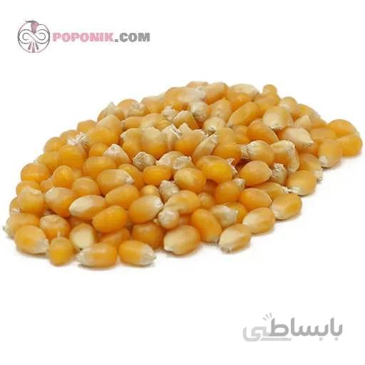 بذر ذرت زرد پاپ کورن