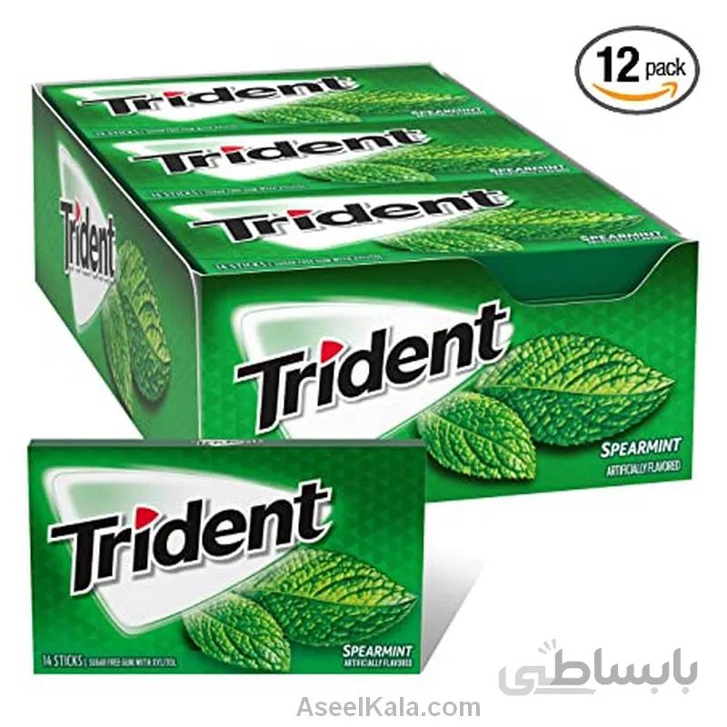 آدامس تریدنت TRIDENT با طعم نعنا ملایم 14 عددی
