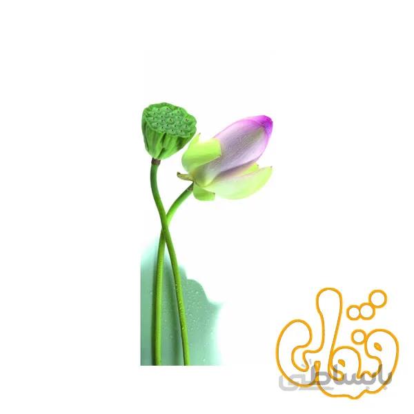 پازل رونزبرگر رز خوش نما Pretty Rose 15126