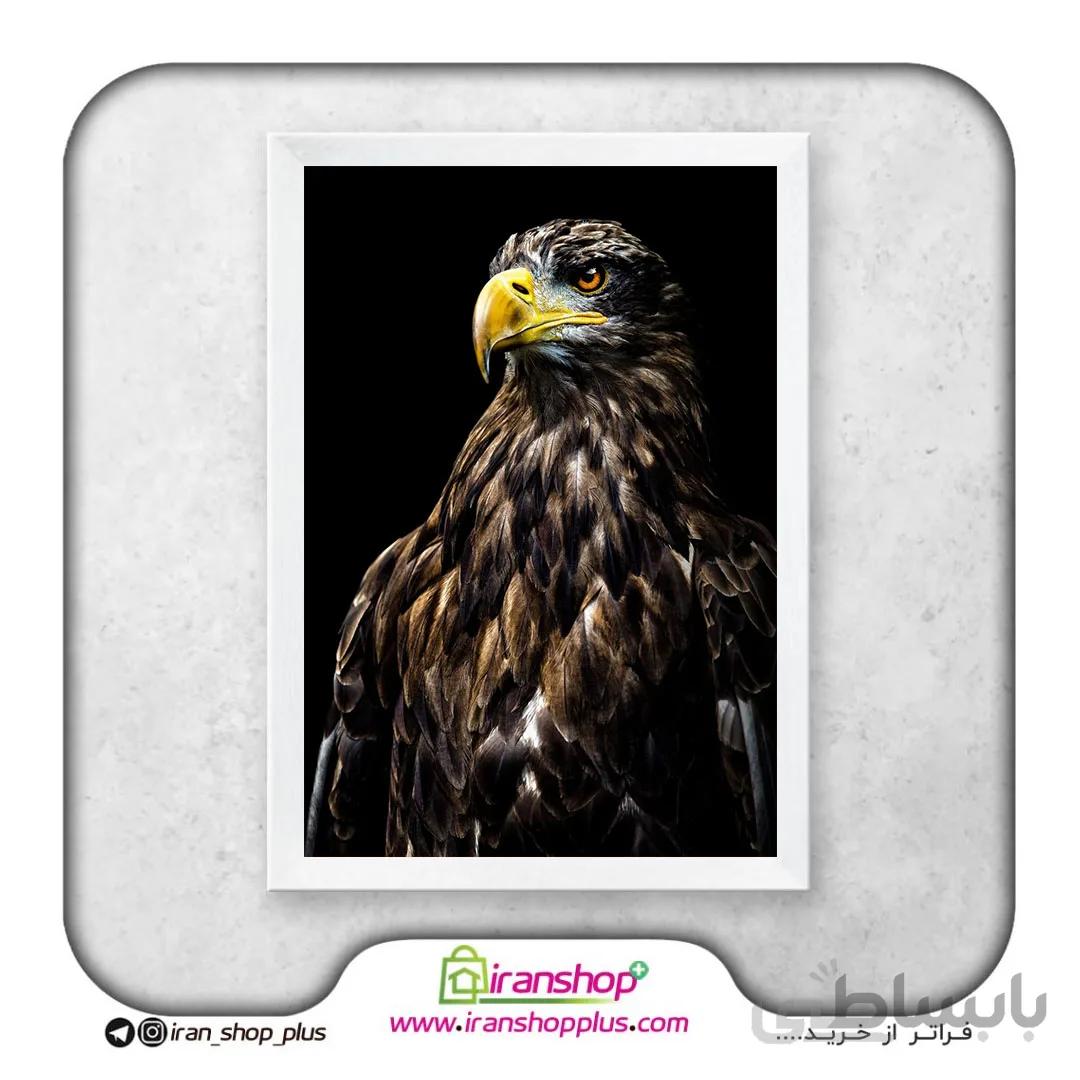 تابلو پوستر عقاب مغرور Proud Eagle